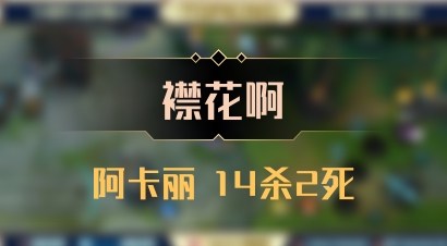 【襟花啊】阿卡丽 14杀2死