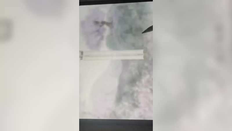 画境长恨歌8