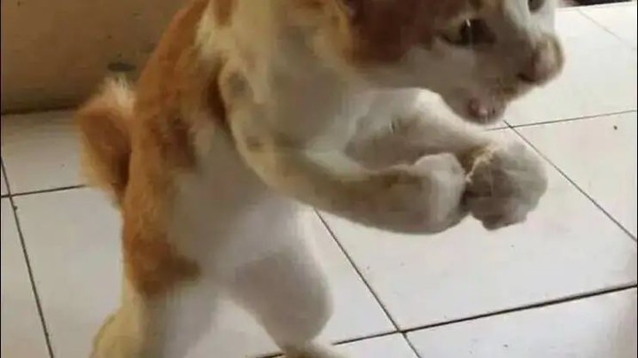 于总监
