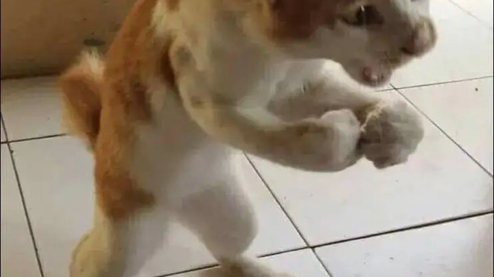 于总监