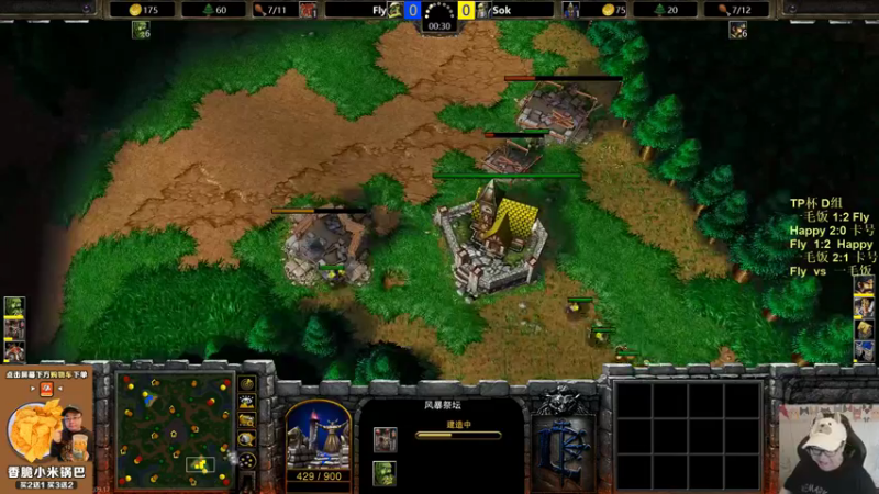 【TED出品】TP杯D组败决 Fly vs 一毛饭 用不完蓝的MK