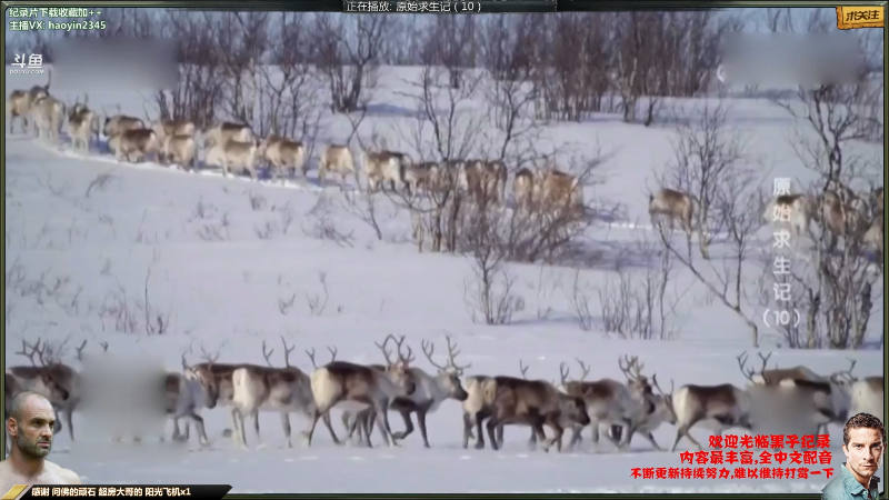 【纪录片】黑子影视haoyin1234的精彩时刻 20220918 23点场