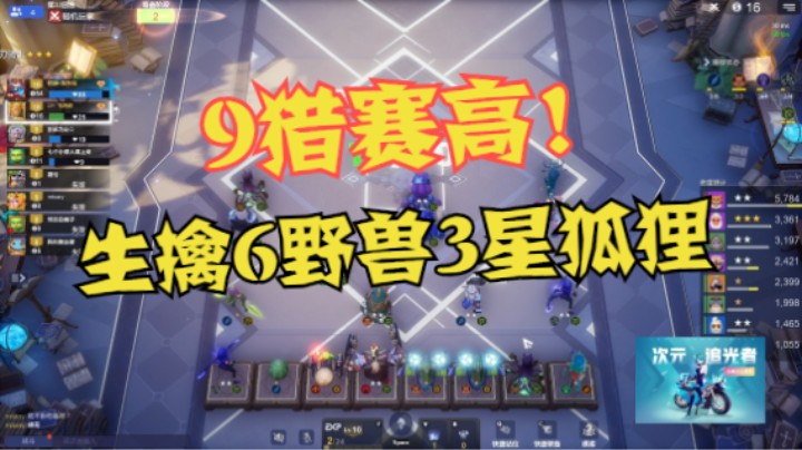 9猎赛高！生擒6野兽3星狐狸
