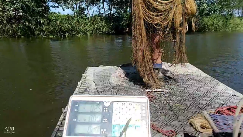 【户外】微山湖捕鱼武工队的精彩时刻 20220919 13点场