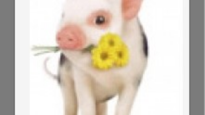 好