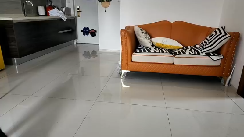 【2022-09-17 10点场】叶子户外：云南西双版纳day2