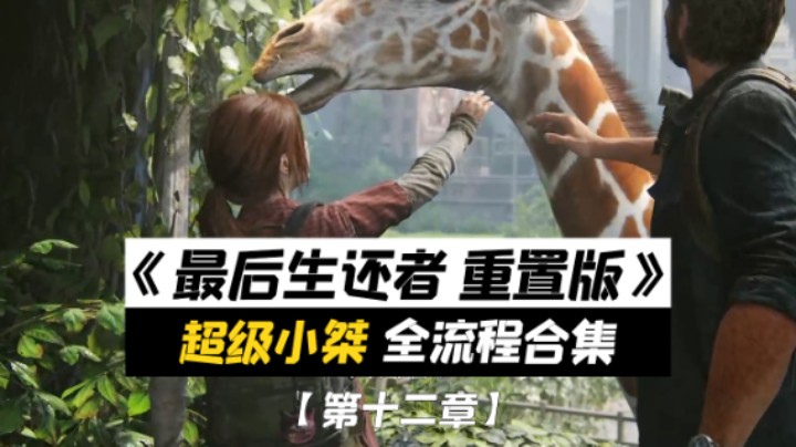 【超级小桀】《最后生还者 重制版》全流程合集 第十二章
