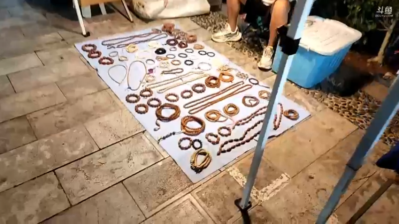 【2022-09-17 20点场】叶子户外：云南西双版纳day2