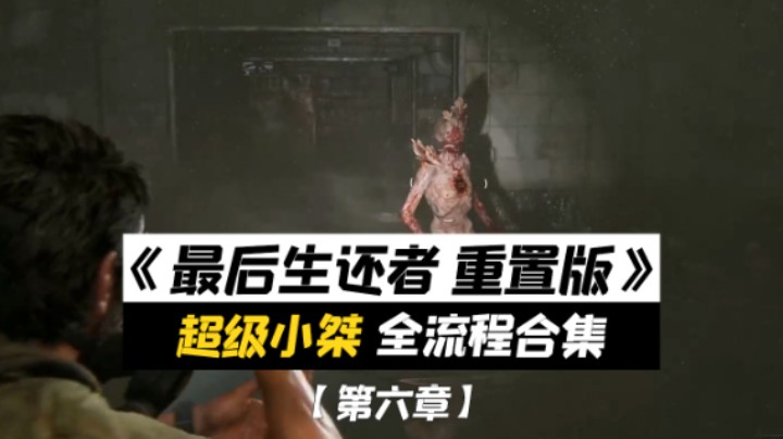 【超级小桀】《最后生还者 重制版》全流程合集 第六章