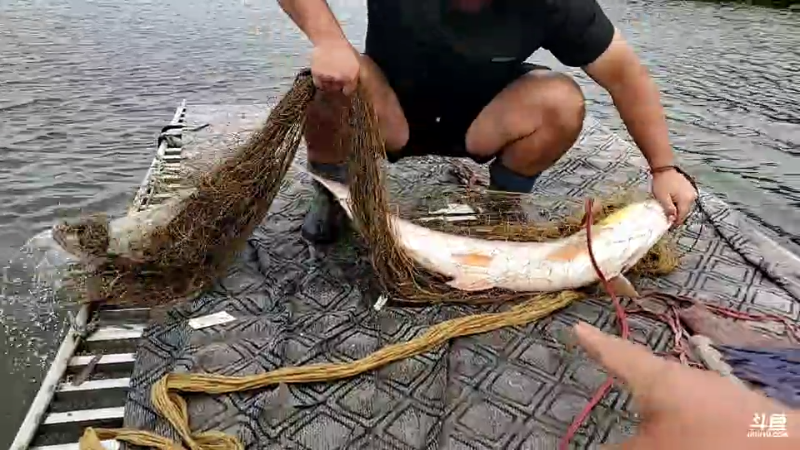 【户外】微山湖捕鱼武工队的精彩时刻 20220920 13点场