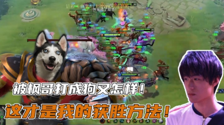 【刘嘉俊Sylar1】被枫哥打成狗又怎样！这才是我的获胜方法！