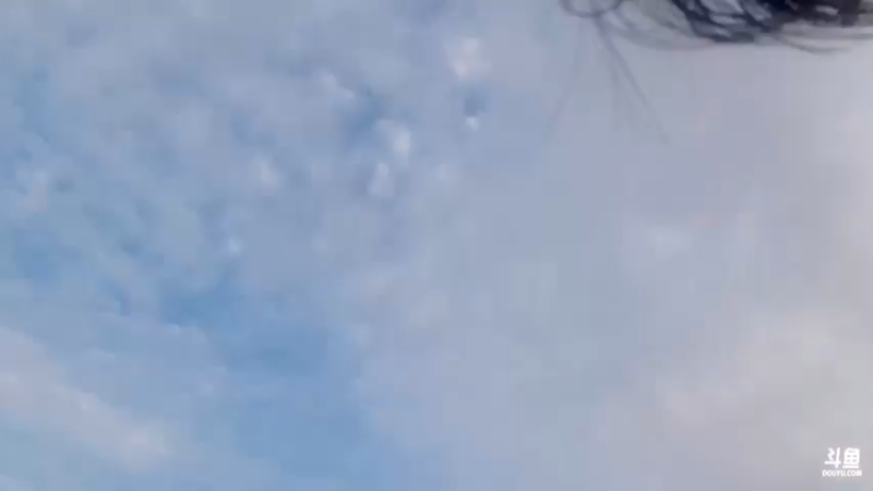 【2022-09-21 17点场】海豹zzz：早上好吖家人们！