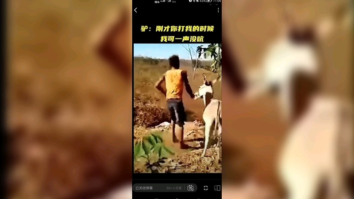 驴：刚才你打我的时候我可一声没吭