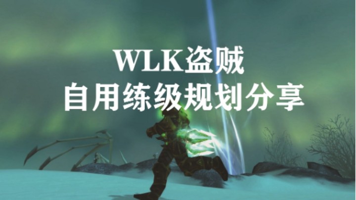 WLK盗贼自用练级规划分享