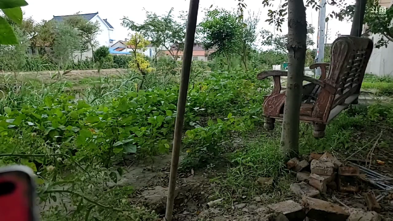 【户外】微山湖捕鱼武工队的精彩时刻 20220922 12点场