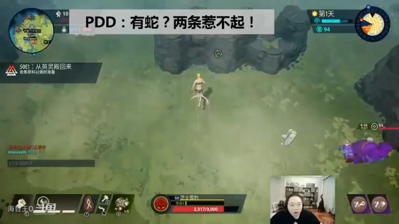 PDD骚猪有蛇？哇两条惹不起快走！