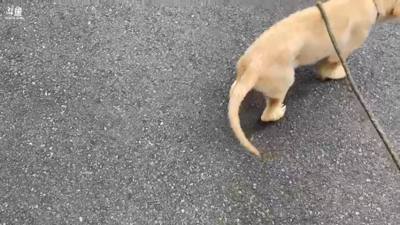 【2022-09-22 15点场】棒老三：拍个黄瓜，晚上最后的疯狂！