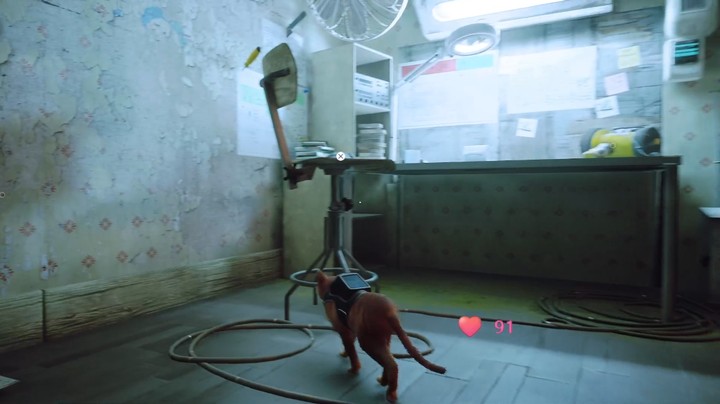 【2022-08-16 20点场】吃桃芝的猫：【小奶团】今天依旧是淡定的一天