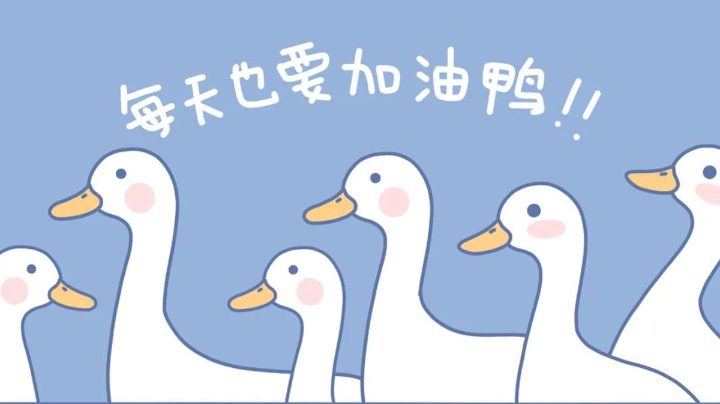 每天也要加油鸭！
