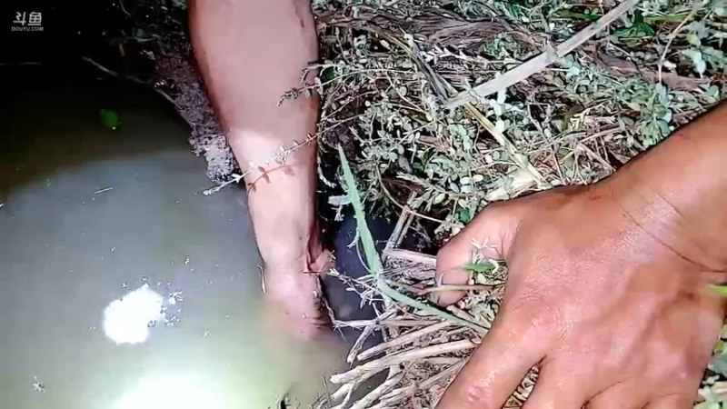 【2022-09-22 20点场】洪湖小肖：洪湖小肖的直播间