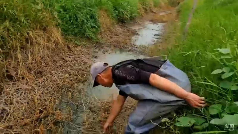 【2022-09-23 17点场】洪湖小肖：晚上9点星势力看跳舞哈