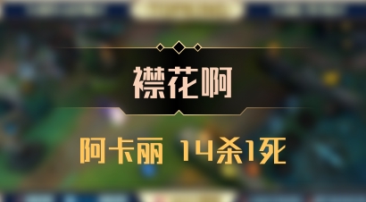 【襟花啊】阿卡丽 14杀1死