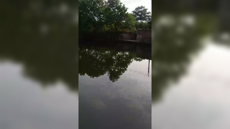 田园生活
