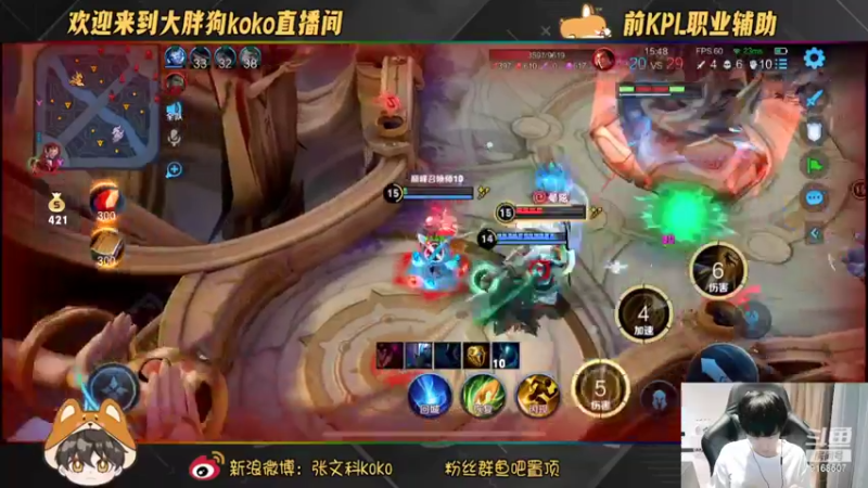 【2022-09-22 23点场】大胖狗koko：动物园一日游 9168507