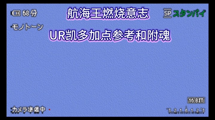 航海王燃烧意志UR凯多加点参考和附魂