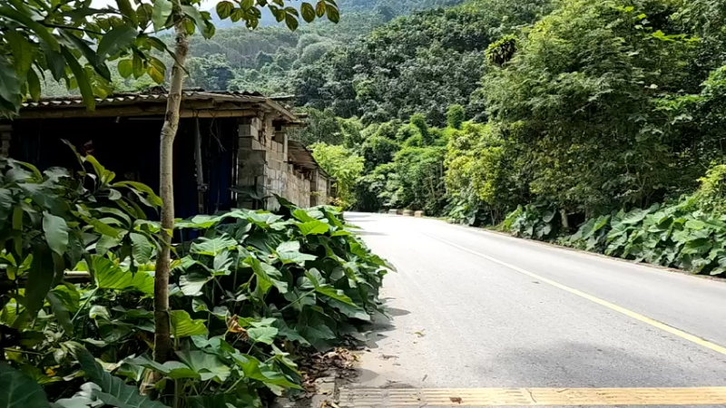 【2022-09-22 12点场】叶子户外：《叶狼风尘》西双版纳,day4