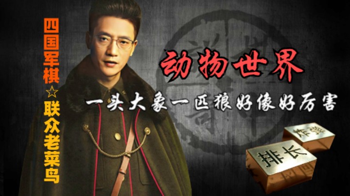 四国军棋：一头大象，一匹狼，看起来好像都是狠角色。