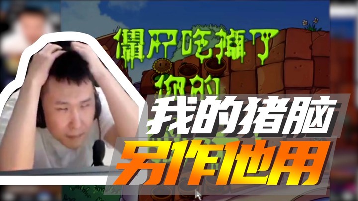 我的猪脑，另作他用~