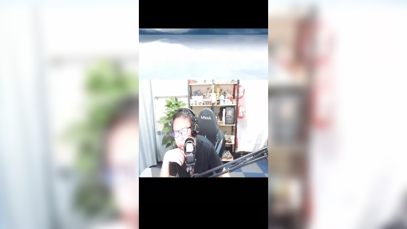 ELO机制不就是养猪流吗