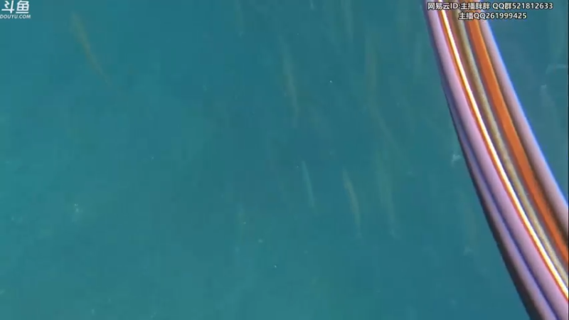 【2022-09-25 03点场】胖胖灬：胖胖OB：S12种子JD TES EDG