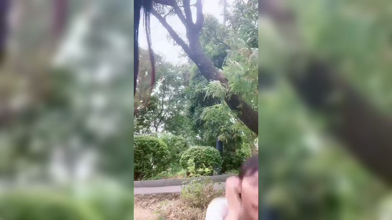 玛玛哈哈220901_084100.x264.aac