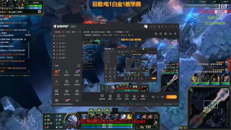 送死流狗熊
