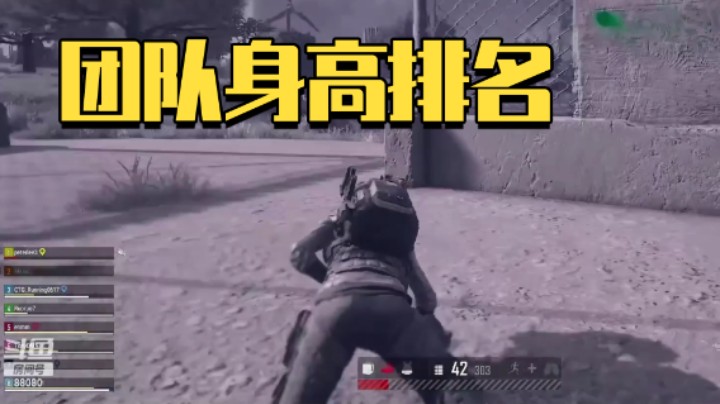 仙某某：团队身高排名