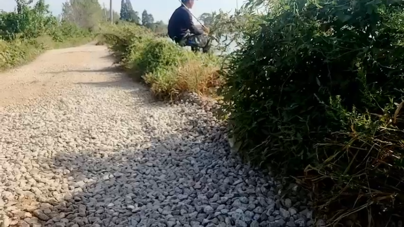 【2022-09-26 15点场】洪湖小肖：大小强哥代播今天回不去了