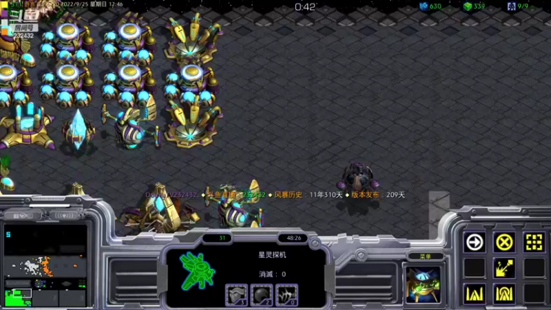 【2022-09-25 12点场】星际DSA联赛：天使风暴專業版™️