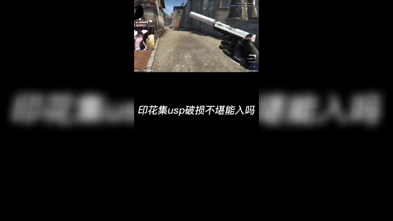 【csgo皮肤】破损不堪的印花集usp游戏里什么样？是不是能入？