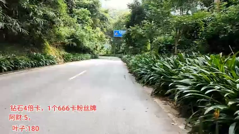 【2022-09-24 11点场】叶子户外：《叶狼风尘》西双版纳,day6