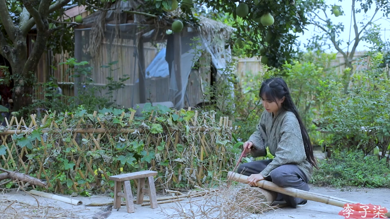 【美食】李子柒liziqi的精彩时刻 20220926 05点场