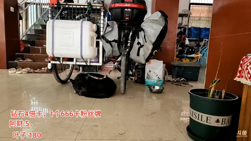 【2022-09-23 14点场】叶子户外：《叶狼风尘》西双版纳,day5