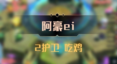 【阿豪ei】2护卫 吃鸡