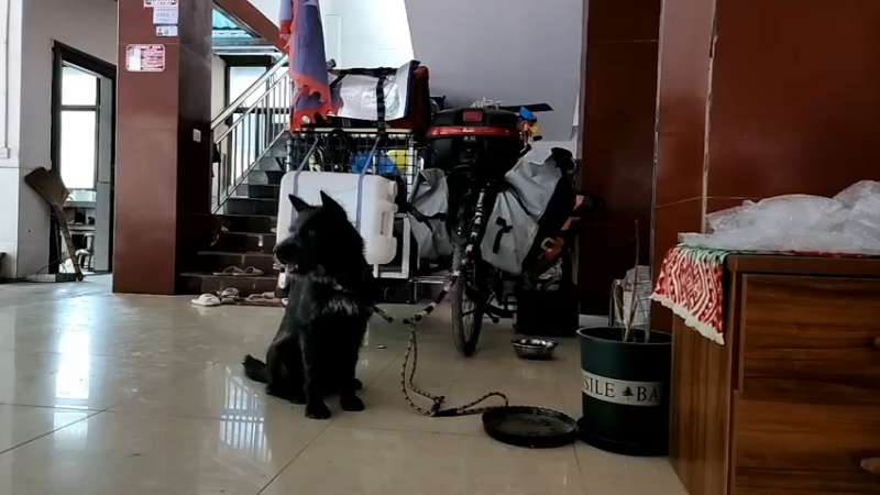 【2022-09-23 08点场】叶子户外：《叶狼风尘》西双版纳,day5