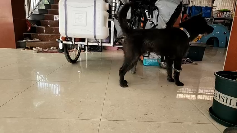 【2022-09-23 16点场】叶子户外：《叶狼风尘》西双版纳,day5