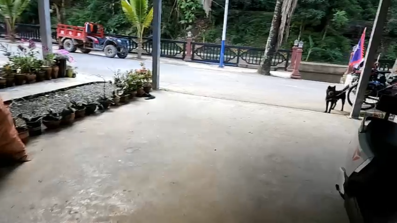 【2022-09-24 09点场】叶子户外：《叶狼风尘》西双版纳,day6