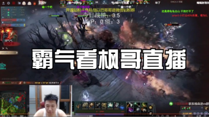 霸气看枫哥直播