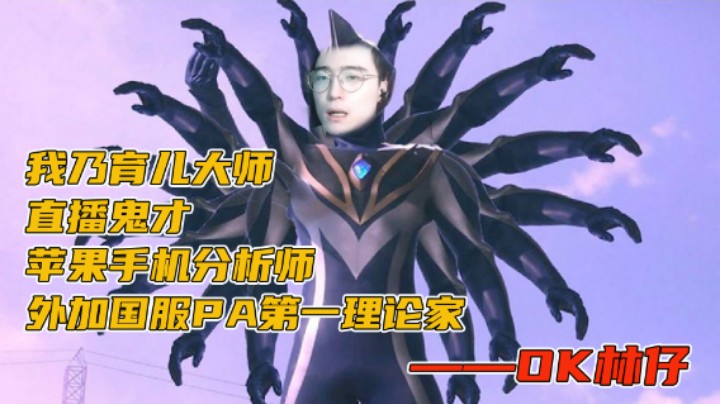 我乃育儿大师直播鬼才苹果手机分析师外加国服PA第一理论家——OK林仔