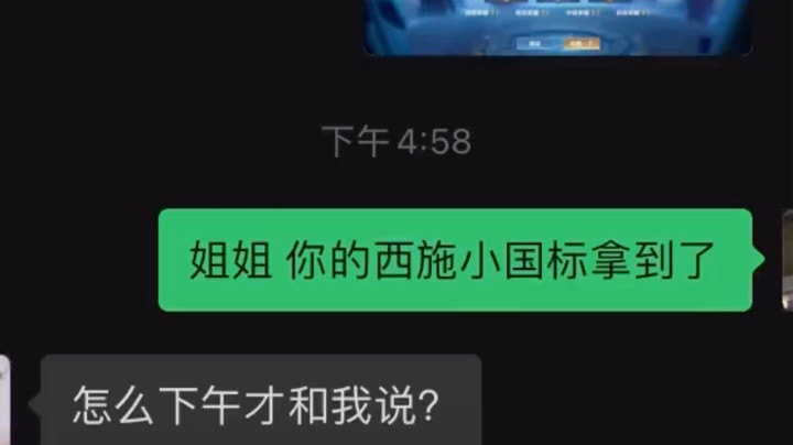 t狗日记
